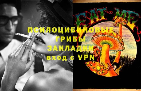 MESCALINE Аркадак