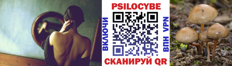 Псилоцибиновые грибы Cubensis  KRAKEN вход  Советский  цена  