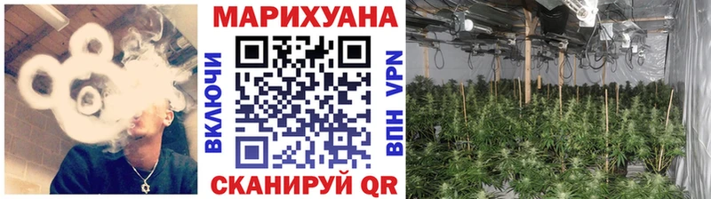 купить закладку  Советский  Конопля семена 